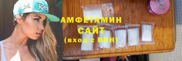 гидра Елабуга