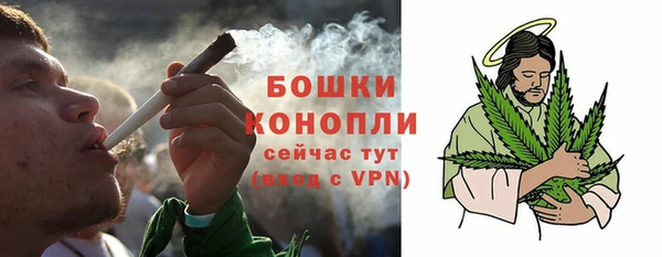 гидра Елабуга