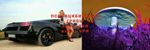 герыч Ельня
