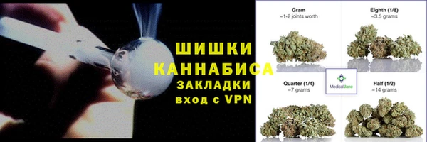 гидра Елабуга