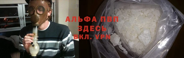 стафф Елизово