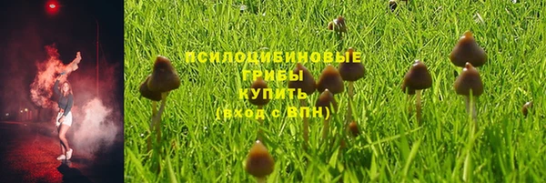 стафф Елизово