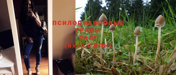 гидра Елабуга