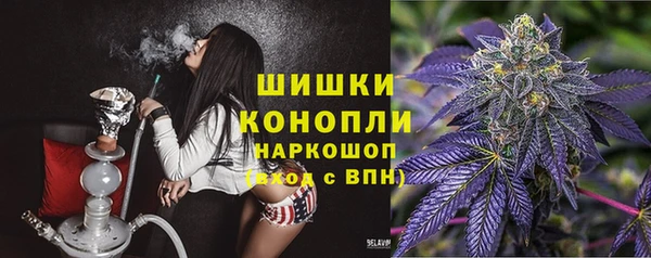 стафф Елизово