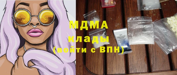 гидра Елабуга