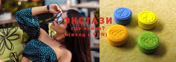 гидра Елабуга