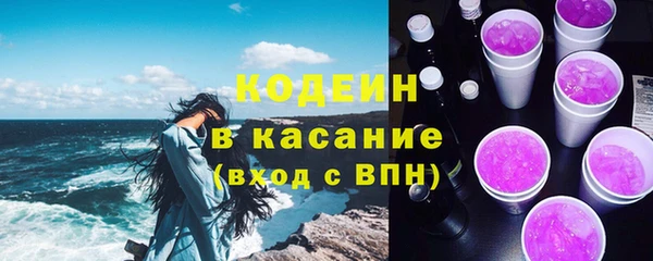 гидра Елабуга