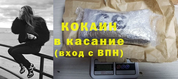 гидра Елабуга