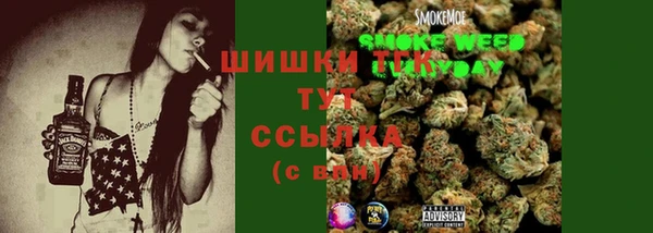 стафф Елизово
